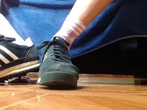 Show webcam de alphaswitchard