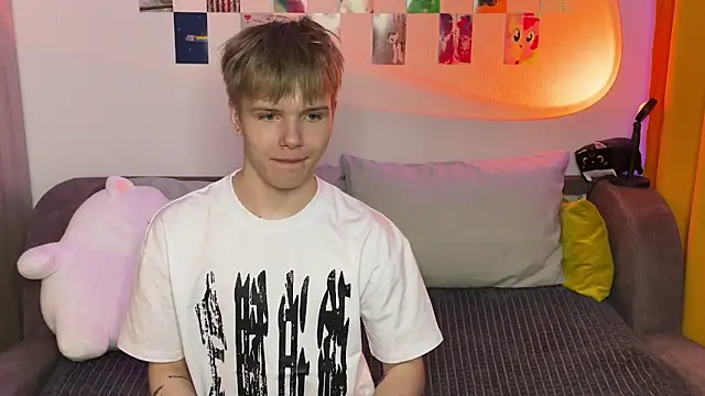 metarionn Webbikameraesitys