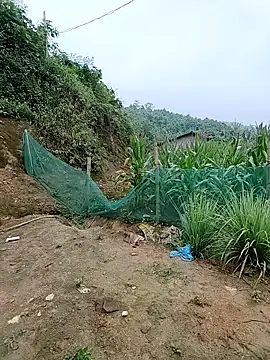 Ruby_LucyのライブXXXチャット