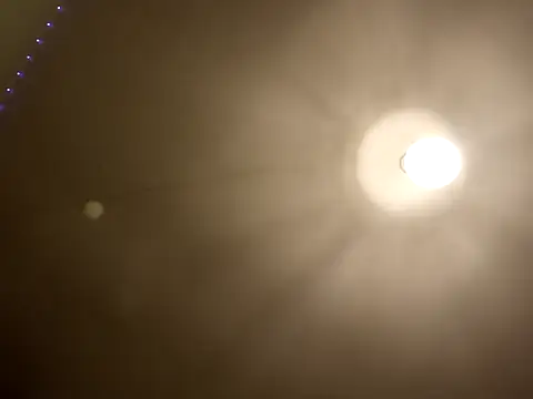 Sofialovee69: διαδικτυακό σόου στην κάμερα