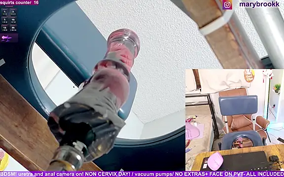 MaryBrook1 Show in webcam