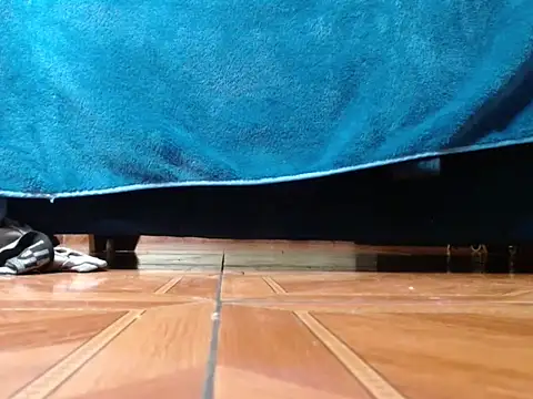 Show webcam de alphaswitchard