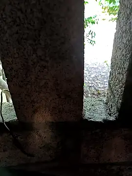 vip36no1 网络视讯表演