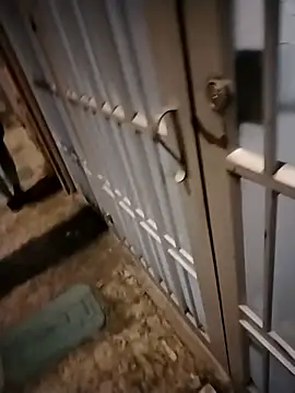 Shantey_Laurent লাইভ XXX চ্যাট