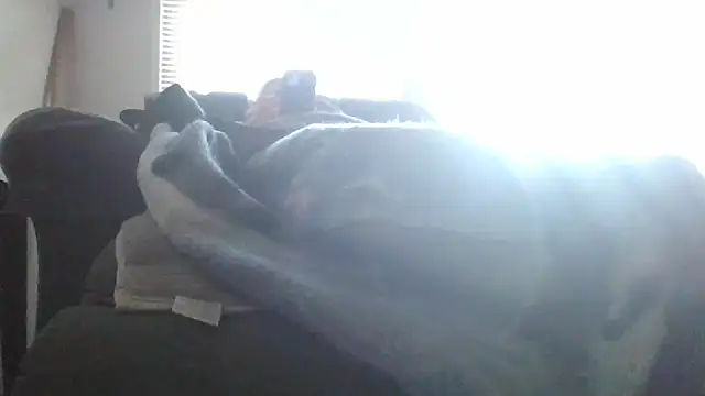 Show webcam de ajsin7