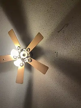 carlithefreak: вебкам-шоу