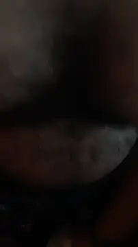 Show de Urso_Nerd na webcam