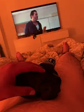 Show webcam de Davvidsm