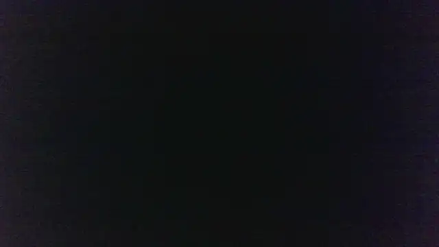 MuseChic_Wild's Live XXX Chat