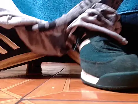 alphaswitchard – Kamerová šou