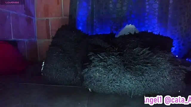 Cata-angel Live XXX-chat