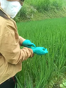 anhphi01 Pertunjukan Webcam