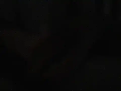 foxy_2025 Webcam-Show