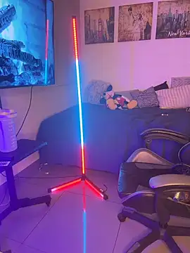 Show webcam de zamir333