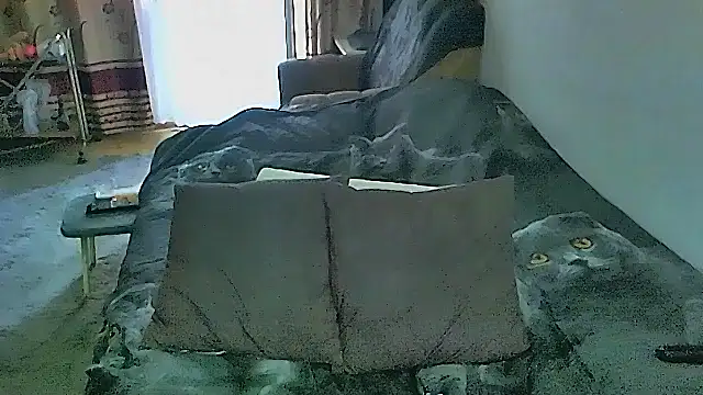 sex2 – Naživo XXX chat