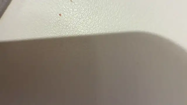 shyboy-25 Webcamshow