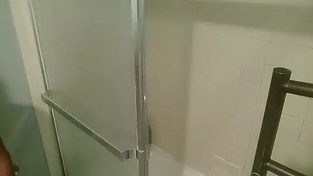 Show webcam de Iblackoracle