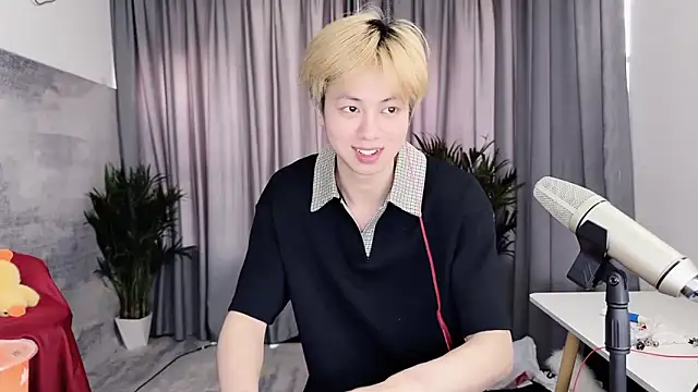 Show Webcam de hafabva