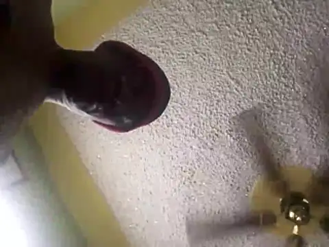 calme_odl1n Webbikameraesitys