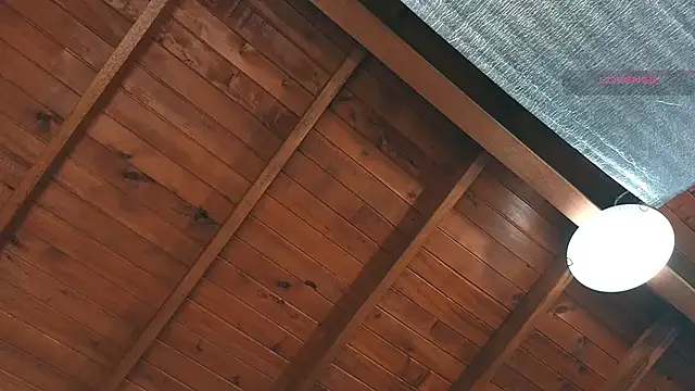 SilvaBranko 라이브 XXX 채팅