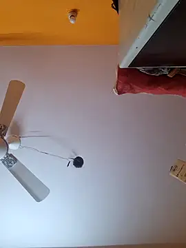 Show Webcam de telugu_integer_hot