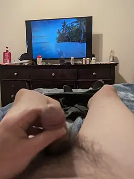 Show webcam de Louis504z