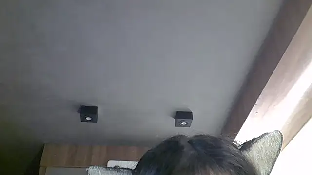 SkinnyKitten: διαδικτυακό σόου στην κάμερα