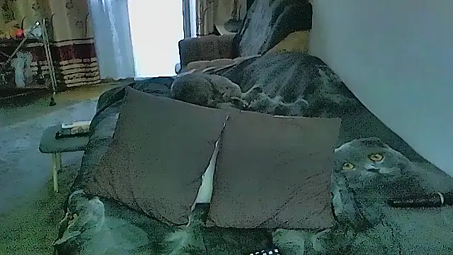 sex2 现场XXX聊天