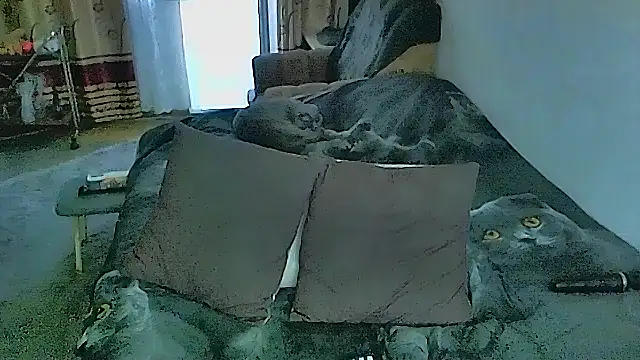 Živý XXX chat sex2