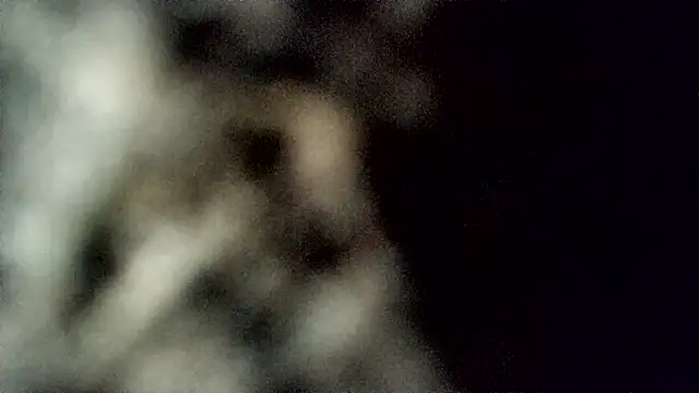 Show modela DjiniCD na web-kameri