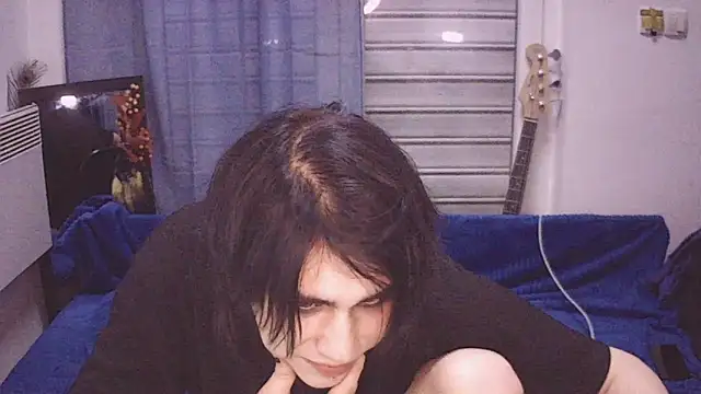 Show webcam de sademobeer