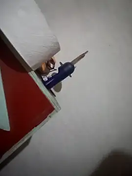 manuel1976 웹캠 쇼