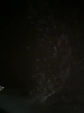 Pokazy przed kamerką – novinho0seu