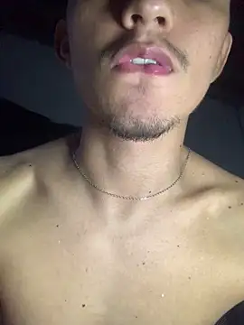 Show Webcam de gabrielzinnnn085