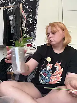 soft_focus élő XXX-chatje