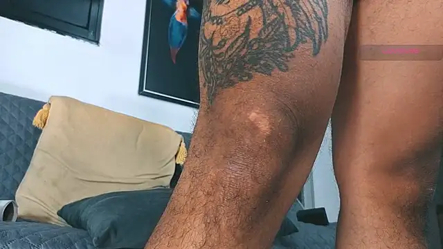 SilvaBranko 即時 XXX 聊天