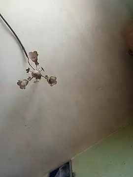 ToughDraft14's Webcam Show