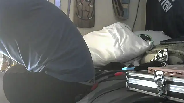 Show webcam de crassanova