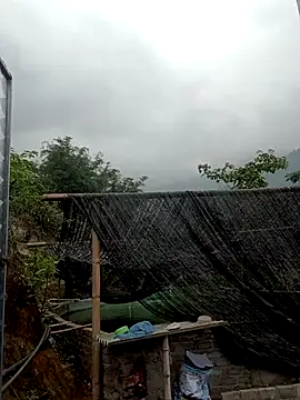 nat-trin Live XXX chat