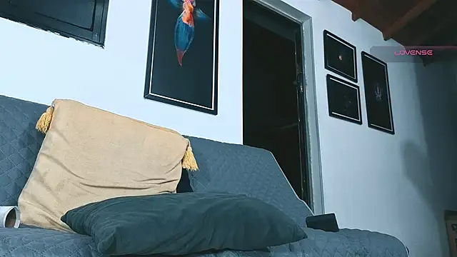 عرض كام SilvaBranko