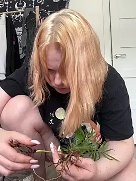 soft_focus Live XXX Chat