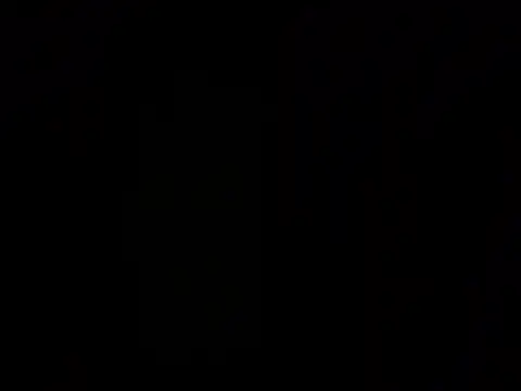 chronic_vibezのウェブカメラショー