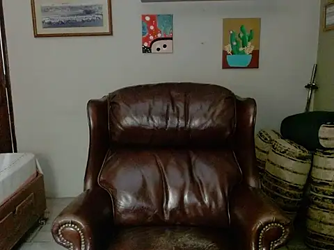 Doegin Webbikameraesitys