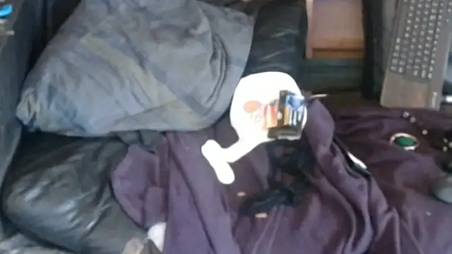 BISLETJE1980 webcam show