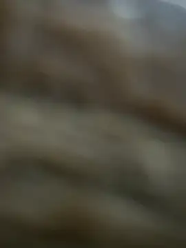 buodiculo Webcam show