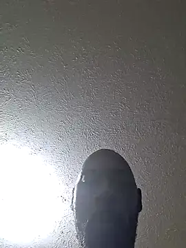 BlackDynasty67's Webcam Show