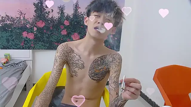 paofu-001n Webbikameraesitys