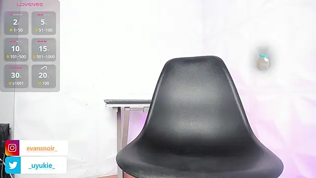 Evans_Noirn Webbikameraesitys