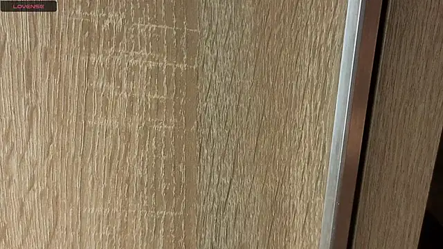 NoFace_Model 现场XXX聊天