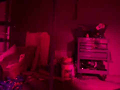 GypsyNova69 webcam show